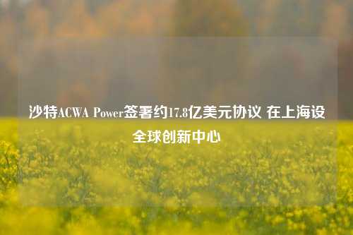 沙特ACWA Power签署约17.8亿美元协议 在上海设全球创新中心