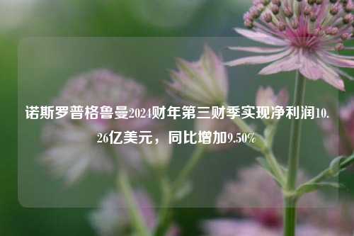 诺斯罗普格鲁曼2024财年第三财季实现净利润10.26亿美元，同比增加9.50%