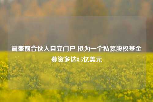 高盛前合伙人自立门户 拟为一个私募股权基金募资多达8.5亿美元