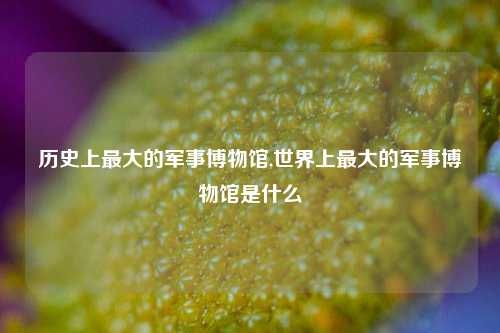 历史上最大的军事博物馆,世界上最大的军事博物馆是什么