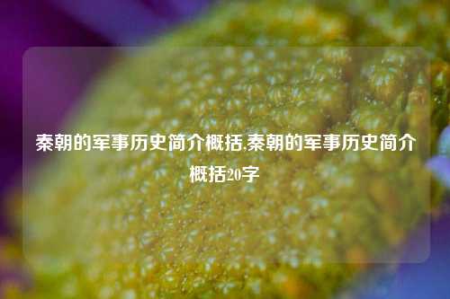 秦朝的军事历史简介概括,秦朝的军事历史简介概括20字