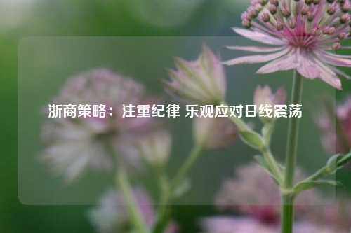 浙商策略：注重纪律 乐观应对日线震荡