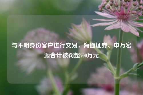 与不明身份客户进行交易，海通证券、申万宏源合计被罚超700万元