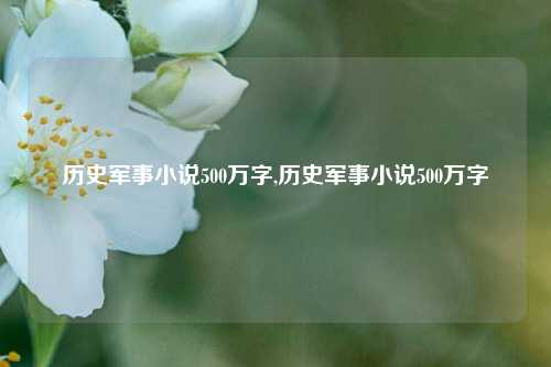 历史军事小说500万字,历史军事小说500万字