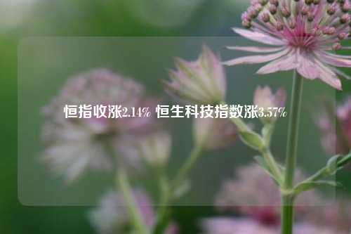 恒指收涨2.14% 恒生科技指数涨3.57%