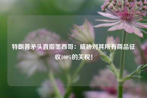 特朗普矛头直指墨西哥：威胁对其所有商品征收100%的关税！