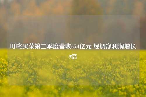 叮咚买菜第三季度营收65.4亿元 经调净利润增长9倍