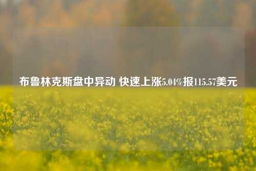 布鲁林克斯盘中异动 快速上涨5.04%报115.57美元