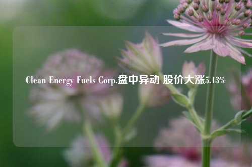 Clean Energy Fuels Corp.盘中异动 股价大涨5.13%