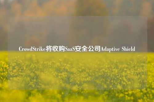 CrowdStrike将收购SaaS安全公司Adaptive Shield