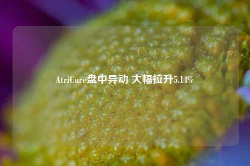 AtriCure盘中异动 大幅拉升5.14%