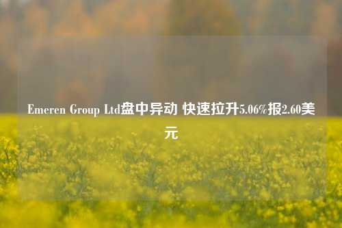 Emeren Group Ltd盘中异动 快速拉升5.06%报2.60美元