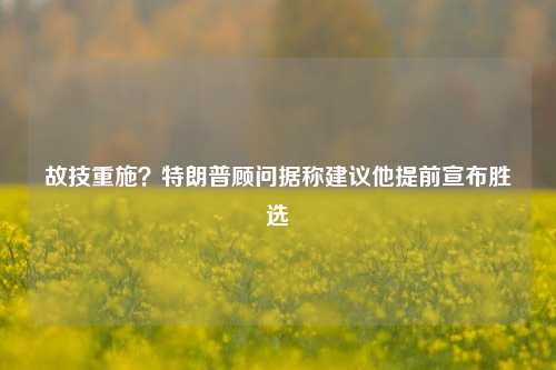 故技重施？特朗普顾问据称建议他提前宣布胜选