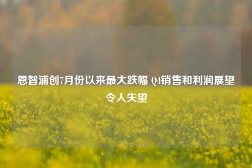 恩智浦创7月份以来最大跌幅 Q4销售和利润展望令人失望