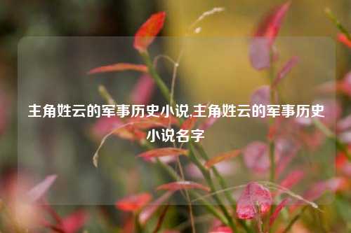 主角姓云的军事历史小说,主角姓云的军事历史小说名字