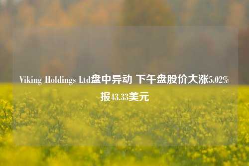 Viking Holdings Ltd盘中异动 下午盘股价大涨5.02%报43.33美元