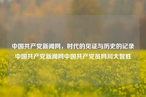 中国共产党新闻网，时代的见证与历史的记录中国共产党新闻网中国共产党员网川大智胜