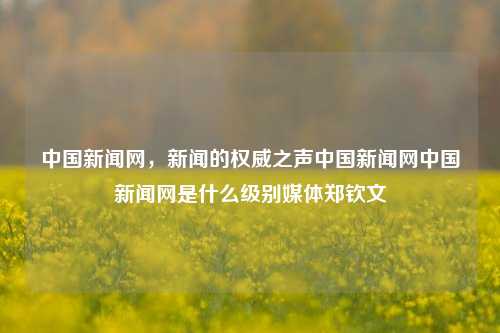 中国新闻网，新闻的权威之声中国新闻网中国新闻网是什么级别媒体郑钦文