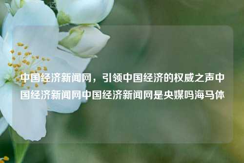 中国经济新闻网，引领中国经济的权威之声中国经济新闻网中国经济新闻网是央媒吗海马体