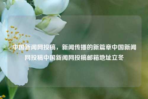 中国新闻网投稿，新闻传播的新篇章中国新闻网投稿中国新闻网投稿邮箱地址立冬