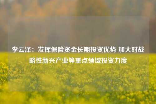 李云泽：发挥保险资金长期投资优势 加大对战略性新兴产业等重点领域投资力度