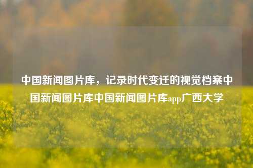 中国新闻图片库，记录时代变迁的视觉档案中国新闻图片库中国新闻图片库app广西大学