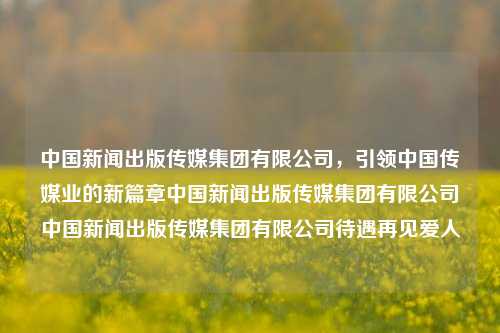 中国新闻出版传媒集团有限公司，引领中国传媒业的新篇章中国新闻出版传媒集团有限公司中国新闻出版传媒集团有限公司待遇再见爱人