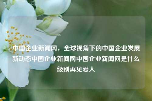 中国企业新闻网，全球视角下的中国企业发展新动态中国企业新闻网中国企业新闻网是什么级别再见爱人