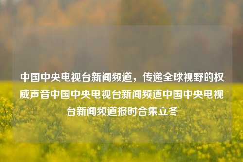 中国中央电视台新闻频道，传递全球视野的权威声音中国中央电视台新闻频道中国中央电视台新闻频道报时合集立冬