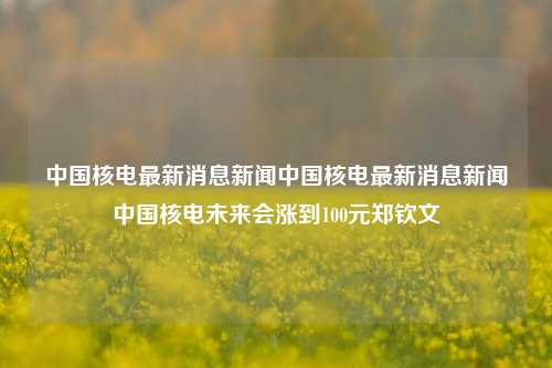 中国核电最新消息新闻中国核电最新消息新闻中国核电未来会涨到100元郑钦文