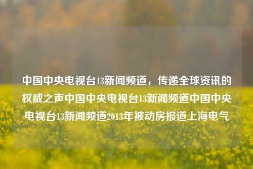 中国中央电视台13新闻频道，传递全球资讯的权威之声中国中央电视台13新闻频道中国中央电视台13新闻频道2013年被动房报道上海电气