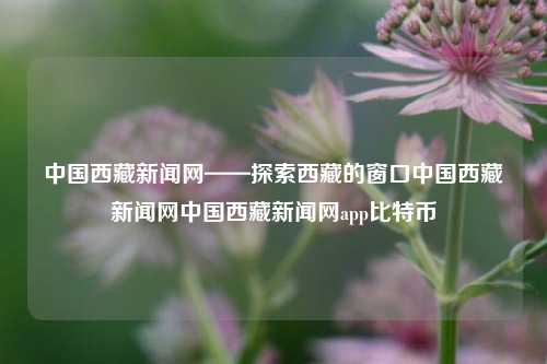 中国西藏新闻网——探索西藏的窗口中国西藏新闻网中国西藏新闻网app比特币