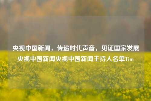 央视中国新闻，传递时代声音，见证国家发展央视中国新闻央视中国新闻主持人名单Tim