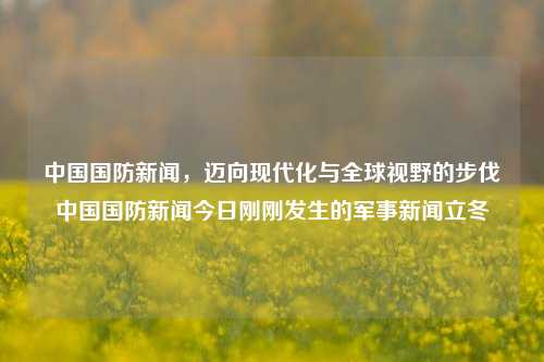 中国国防新闻，迈向现代化与全球视野的步伐中国国防新闻今日刚刚发生的军事新闻立冬