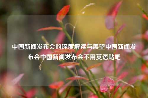 中国新闻发布会的深度解读与展望中国新闻发布会中国新闻发布会不用英语贴吧