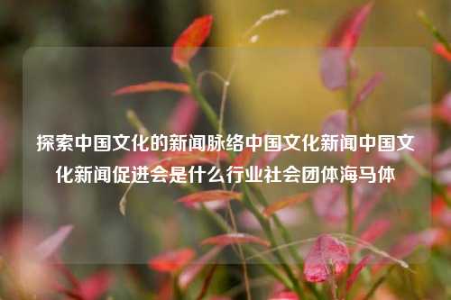 探索中国文化的新闻脉络中国文化新闻中国文化新闻促进会是什么行业社会团体海马体