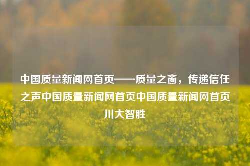 中国质量新闻网首页——质量之窗，传递信任之声中国质量新闻网首页中国质量新闻网首页川大智胜