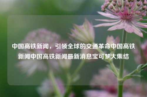 中国高铁新闻，引领全球的交通革命中国高铁新闻中国高铁新闻最新消息宝可梦大集结