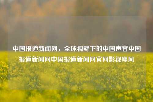 中国报道新闻网，全球视野下的中国声音中国报道新闻网中国报道新闻网官网影视飓风