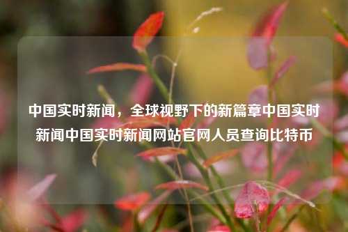 中国实时新闻，全球视野下的新篇章中国实时新闻中国实时新闻网站官网人员查询比特币