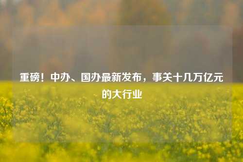 重磅！中办、国办最新发布，事关十几万亿元的大行业