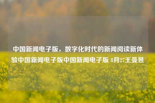 中国新闻电子版，数字化时代的新闻阅读新体验中国新闻电子版中国新闻电子版 8月27王曼昱