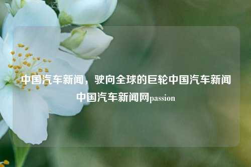 中国汽车新闻，驶向全球的巨轮中国汽车新闻中国汽车新闻网passion