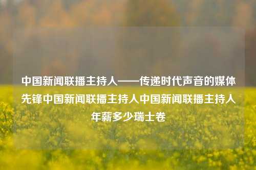 中国新闻联播主持人——传递时代声音的媒体先锋中国新闻联播主持人中国新闻联播主持人年薪多少瑞士卷