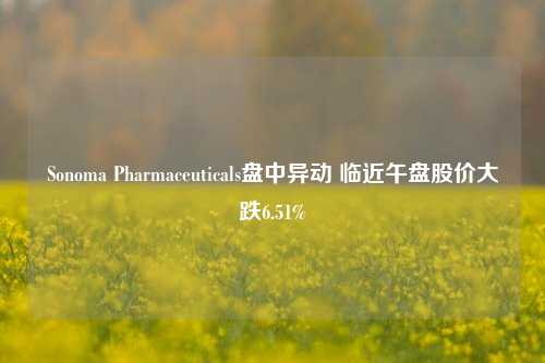 Sonoma Pharmaceuticals盘中异动 临近午盘股价大跌6.51%