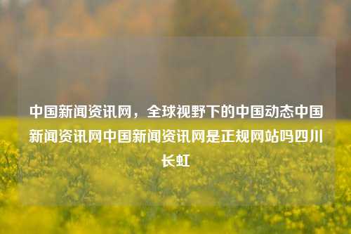 中国新闻资讯网，全球视野下的中国动态中国新闻资讯网中国新闻资讯网是正规网站吗四川长虹