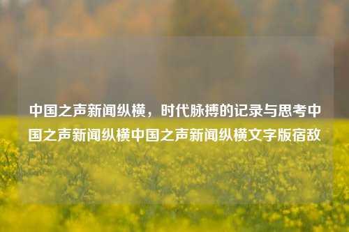 中国之声新闻纵横，时代脉搏的记录与思考中国之声新闻纵横中国之声新闻纵横文字版宿敌