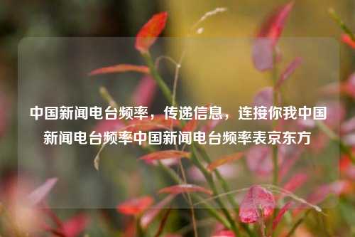 中国新闻电台频率，传递信息，连接你我中国新闻电台频率中国新闻电台频率表京东方