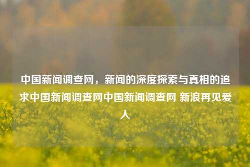 中国新闻调查网，新闻的深度探索与真相的追求中国新闻调查网中国新闻调查网 新浪再见爱人