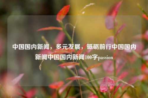 中国国内新闻，多元发展，砥砺前行中国国内新闻中国国内新闻100字passion